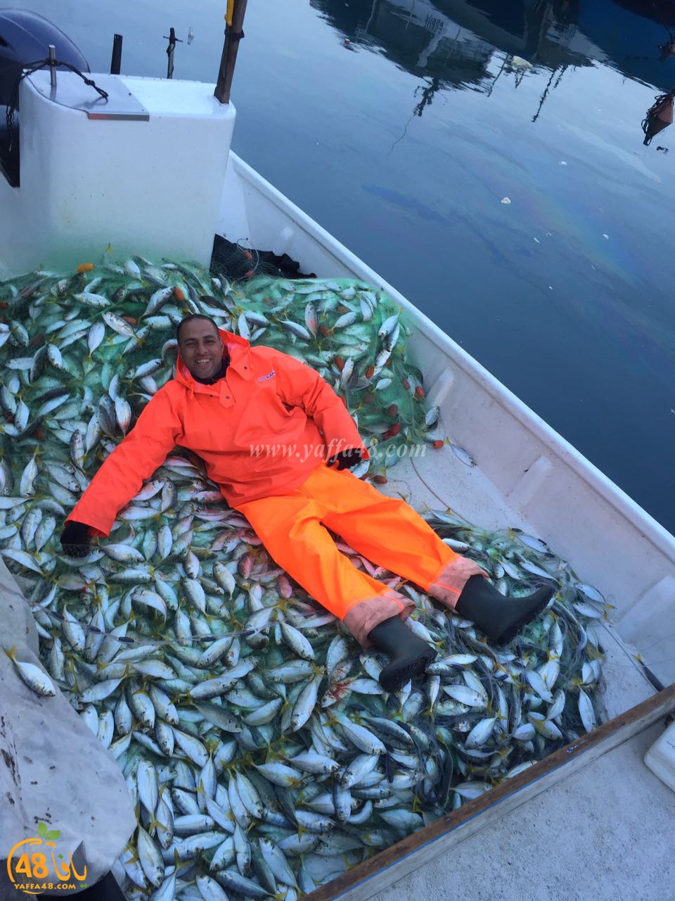 asmak torglos (4).jpg